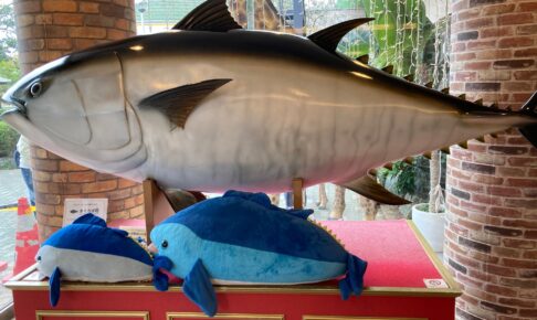 関東旅行 ぷーもぐ旅行 日韓夫婦の旅行 お出かけ情報